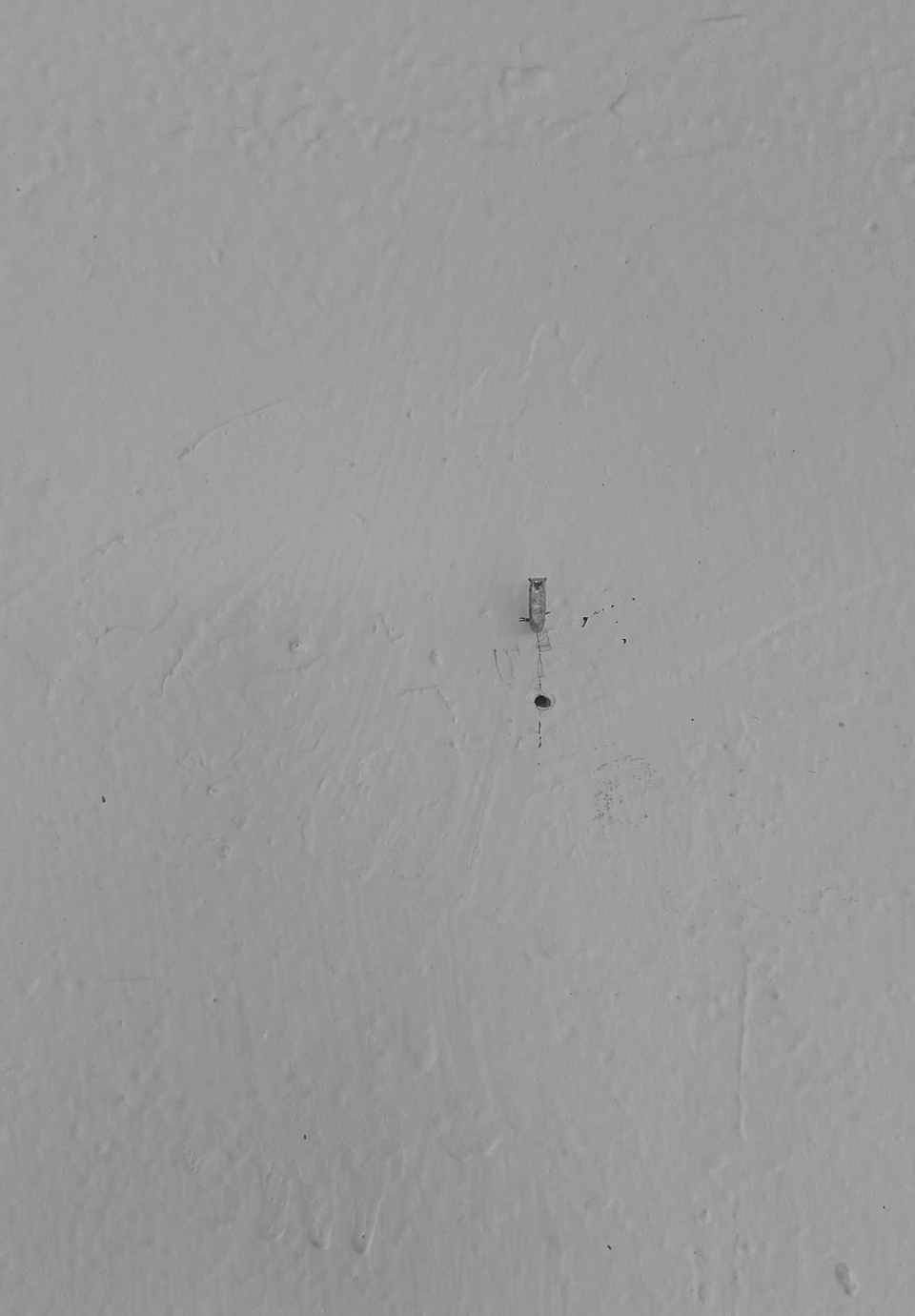 Pared